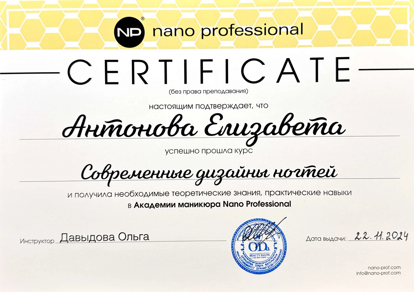 Сертификат Елизаветы Антоновой по современным дизайнам ногтей, 2024 год